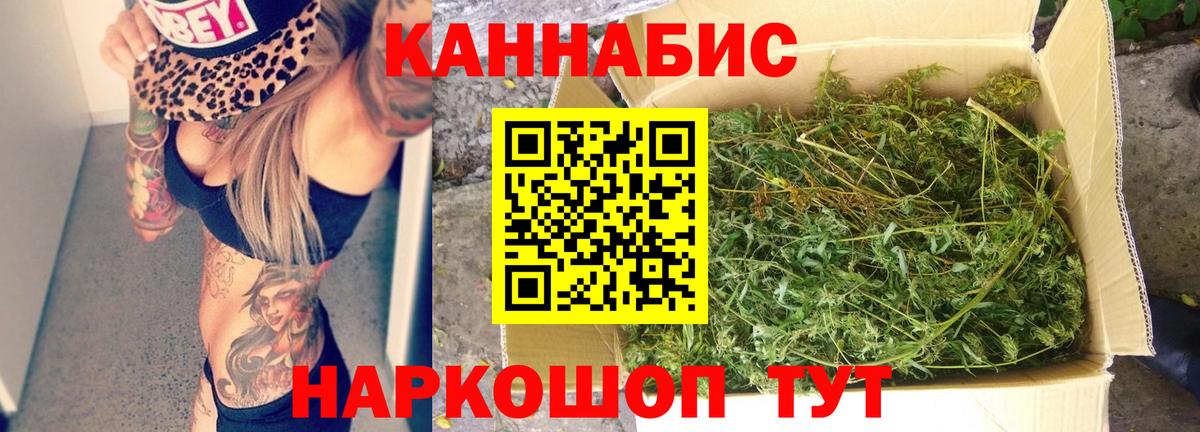 Каннабис сатива Михайловск